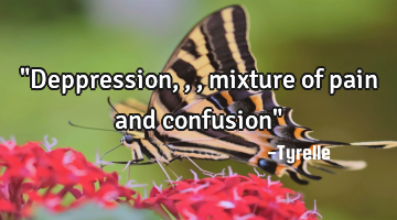 "Deppression,,,mixture of pain and confusion"