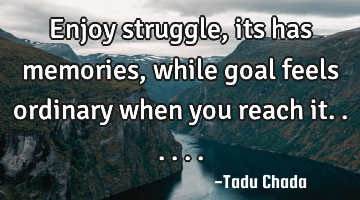 Enjoy struggle, its has memories, while goal feels ordinary when you reach it......