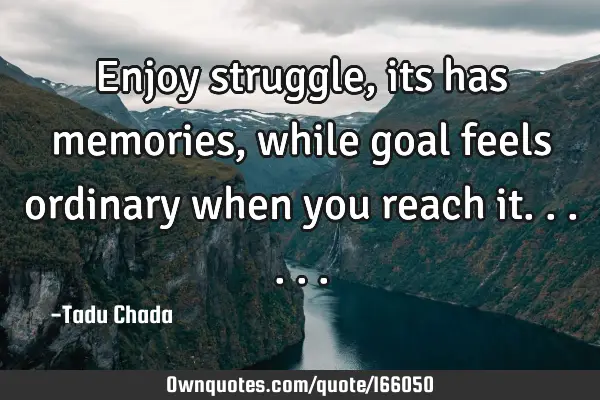 Enjoy struggle, its has memories, while goal feels ordinary when you reach