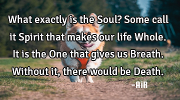 What exactly is the Soul? Some call it Spirit that makes our life Whole. It is the One that gives