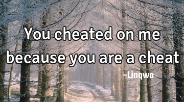 You cheated on me because you are a cheat