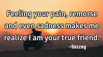 Feeling your pain, remorse and even sadness makes me realize I am your true friend.