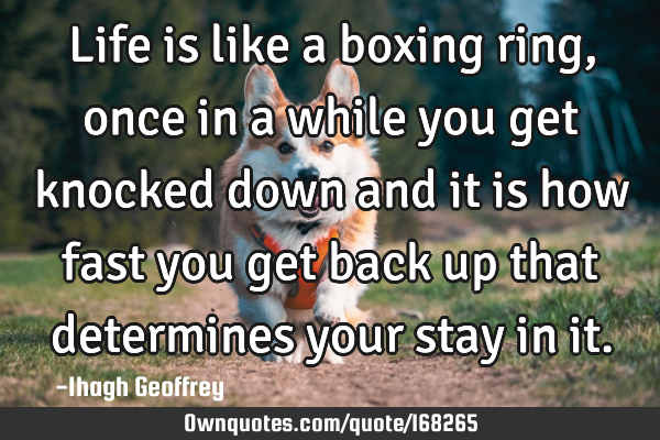 Life is like a boxing ring, once in a while you get knocked down and it is how fast you get back up