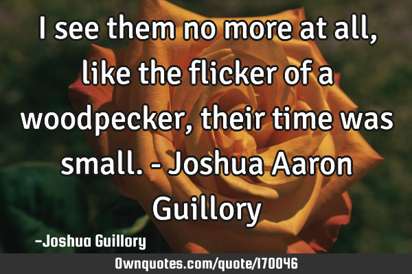 I see them no more at all, like the flicker of a woodpecker, their time was small. - Joshua Aaron G