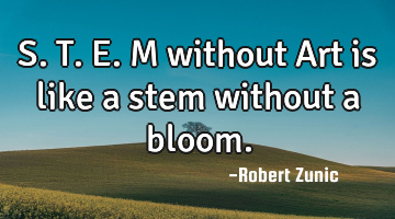S.T.E.M without Art is like a stem without a bloom.