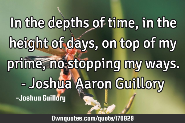 In the depths of time, in the height of days, on top of my prime, no stopping my ways. - Joshua A