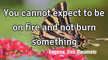 You cannot expect to be on fire and not burn something