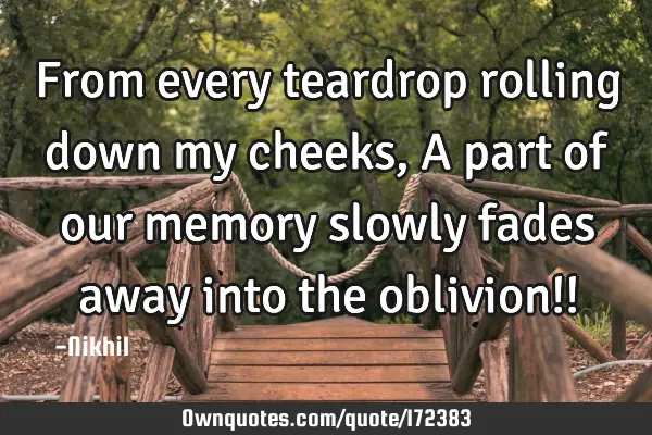 From every teardrop rolling down my cheeks, 
A part of our memory slowly fades away into the