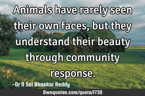 Animals have rarely seen their own faces, but they understand their beauty through community