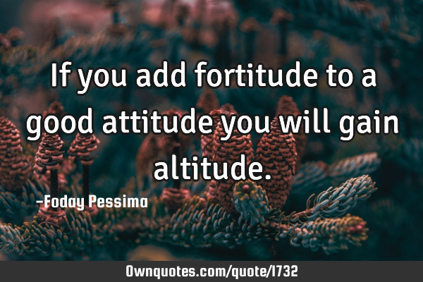 If You Add Fortitude To A Good Attitude You Will Gain Altitude Ownquotes Com