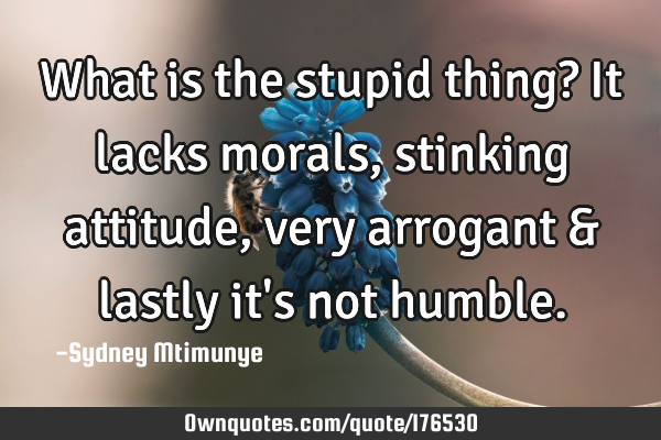 What is the stupid thing? It lacks morals, stinking attitude, very arrogant & lastly it