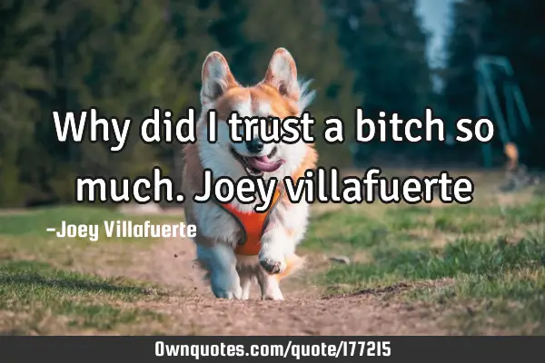Why did I trust a bitch so much.    Joey