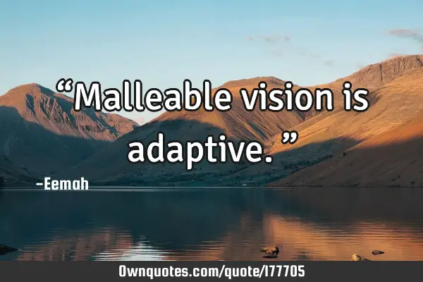 “Malleable vision is adaptive.”: OwnQuotes.com