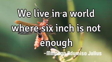 We live in a world where six inch is not enough