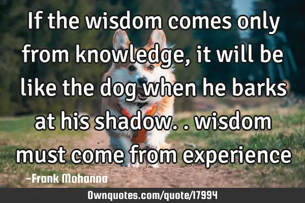 If the wisdom comes only from knowledge, it will be like the dog when he barks at his shadow..