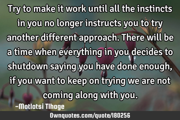 Try to make it work until all the instincts in you no longer instructs you to try another different
