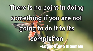There is no point in doing something if you are not going to do it to its completion