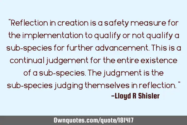 "Reflection in creation is a safety measure for the implementation to qualify or not qualify a sub-