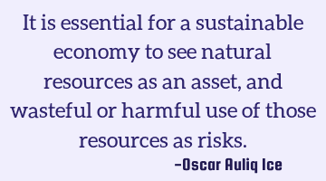 It is essential for a sustainable economy to see natural resources as an asset, and wasteful or