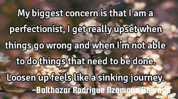 My biggest concern is that I am a perfectionist, I get really upset when things go wrong and when I