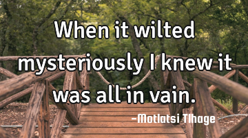 When it wilted mysteriously I knew it was all in vain.