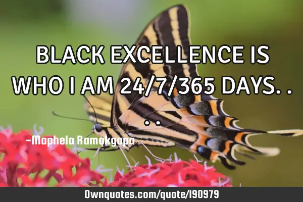 Black Excellence Is Who I Am 24 7 365 Days Ownquotes Com