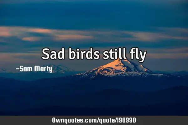 Sad birds still