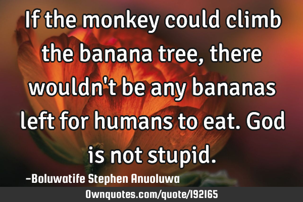 If the monkey could climb the banana tree, there wouldn