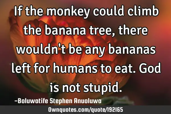 If the monkey could climb the banana tree, there wouldn