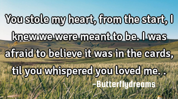 You stole my heart, from the start, I knew we were meant to be. I was afraid to believe it was in