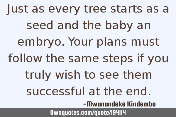 Just as every tree starts as a seed and the baby an embryo. Your plans must follow the same steps