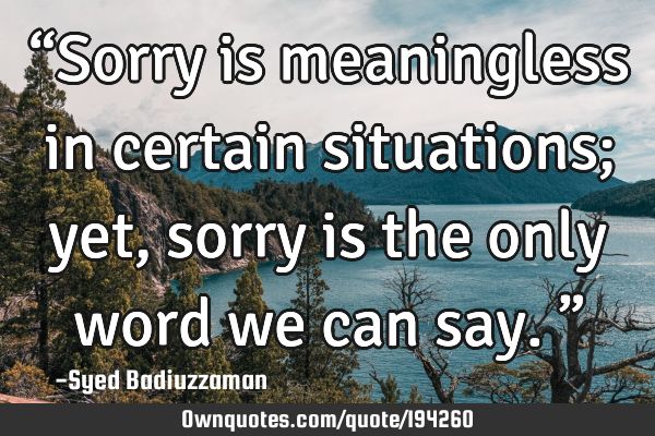 “Sorry is meaningless in certain situations; yet, sorry is the only word we can say.”