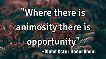 "Where there is animosity there is opportunity"