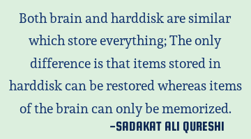 Both brain and harddisk are similar which store everything;
The only difference is that items