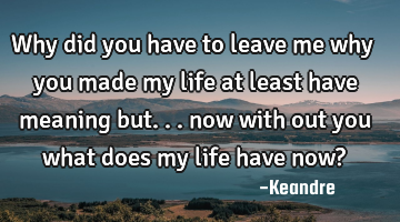 Why did you have to leave me why you made my life at least have meaning but... now with out you