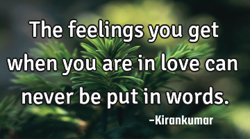 The feelings you get when you are in love can never be put in words.