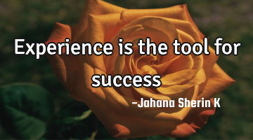 Experience is the tool for success