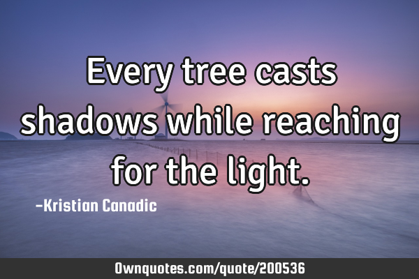 Every tree casts shadows while reaching for the