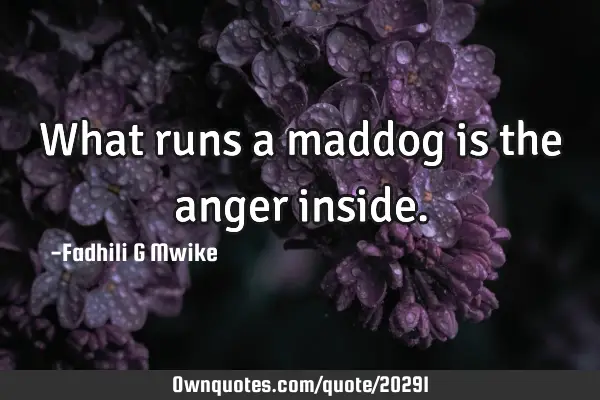 What runs a maddog is the anger