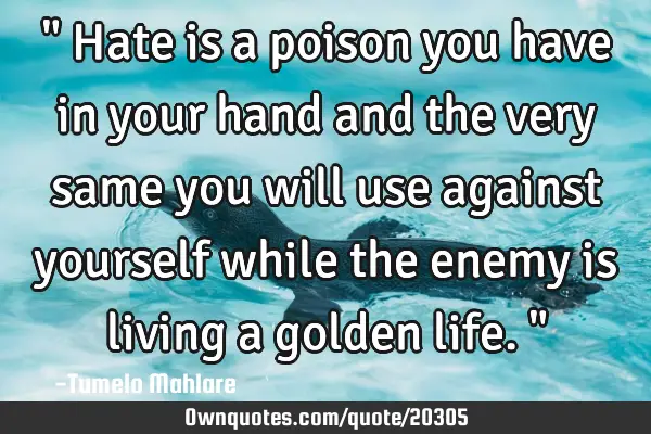 " Hate is a poison you have in your hand and the very same you will use against yourself while the
