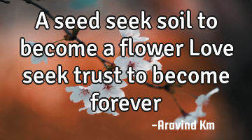 A seed seek soil to become a flower Love seek trust to become forever