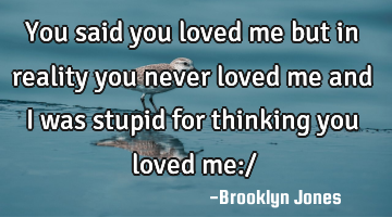 You said you loved me but in reality you never loved me and i was stupid for thinking you loved me:/