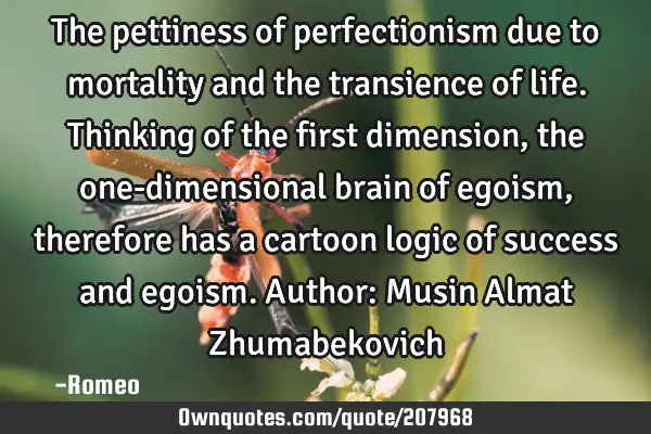 The pettiness of perfectionism due to mortality and the transience of life. Thinking of the first