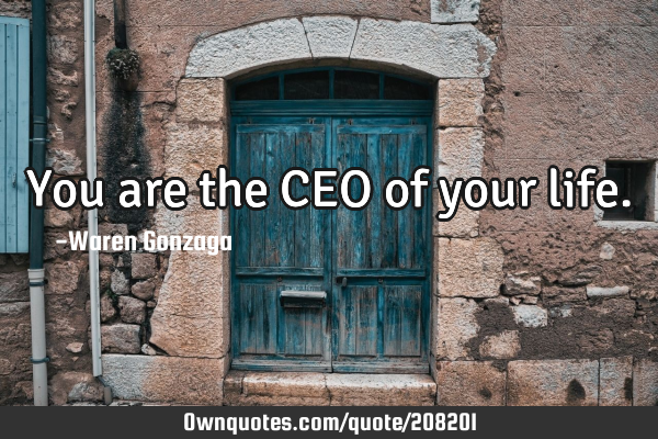 You are the CEO of your