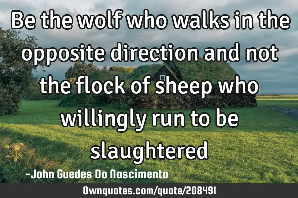Be the wolf who walks in the opposite direction and not the flock of sheep who willingly run to be