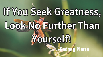 If You Seek Greatness, Look No Further Than Yourself!