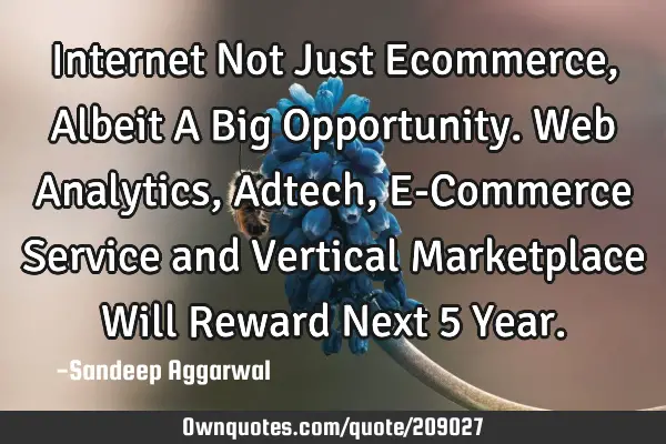 Internet Not Just Ecommerce, Albeit A Big Opportunity. Web Analytics, Adtech, E-Commerce Service