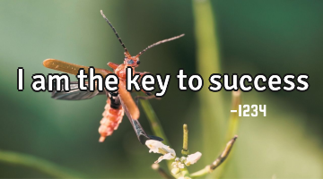 I am the key to success