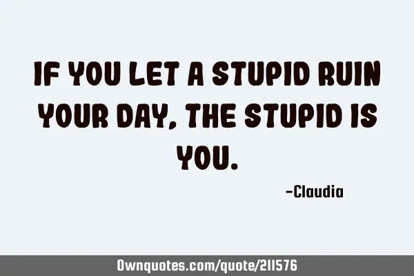 If you let a stupid ruin your day, the stupid is