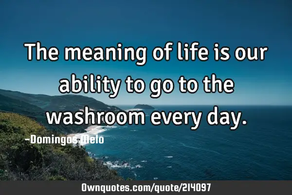 the-meaning-of-life-is-our-ability-to-go-to-the-washroom-every